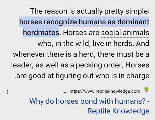 "الفَرَس تعرف أنك لا تحسن قيادَها"

قبل يومين عنَّ لي أن أركب فرَسًا، قال لي سائ...