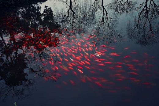 《الفوضى، حيث تنشأ الأحلام اللامعة》

~ كتاب التحولات، الصين، نحو القرن الثامن ق