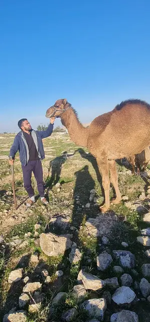 قيس العصا، فبراير ٢٠٢٤