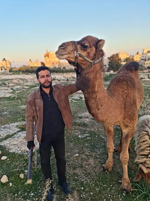 قيس العصا، أغسطس ٢٠٢٤