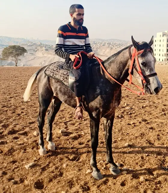 قيس العصا، ٢٠٢٥